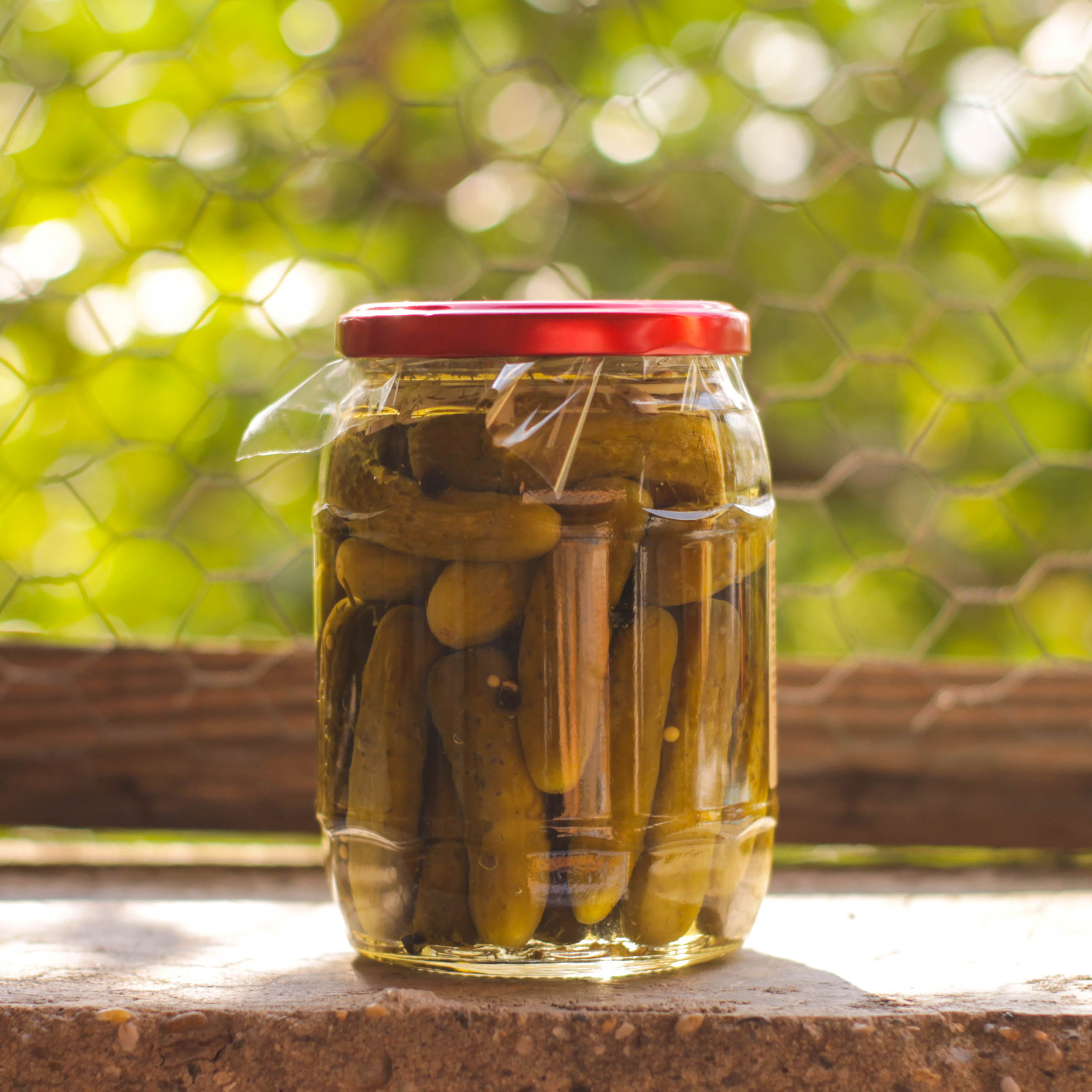 מלפפונים חמוצים ביתי דלי - מונטה קרלו